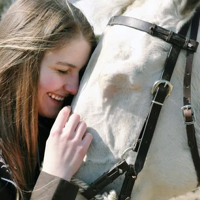 @blindhorsemanship profile image