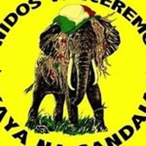 @blocokayanagandaia profile image