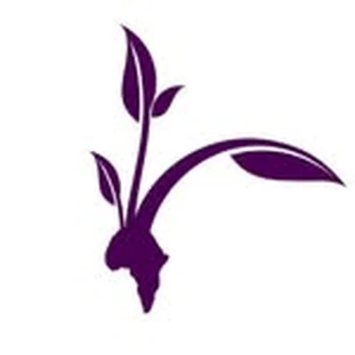 @blossomgirlsnetwork profile image