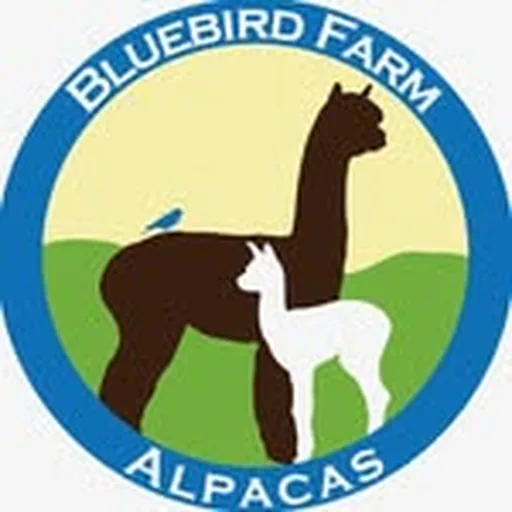 @bluebirdfarmalpacas profile image