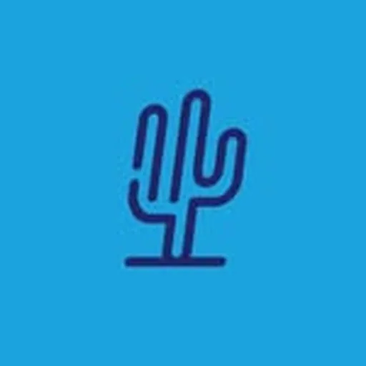 @bluecactuspowerwashing profile image