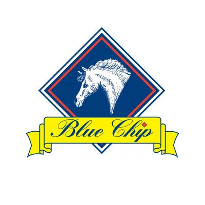 @bluechipfeed profile image