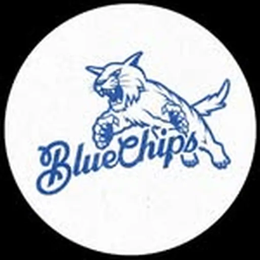 @bluechipsbbn profile image