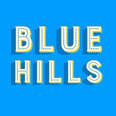 @bluehillsatroundtop profile image
