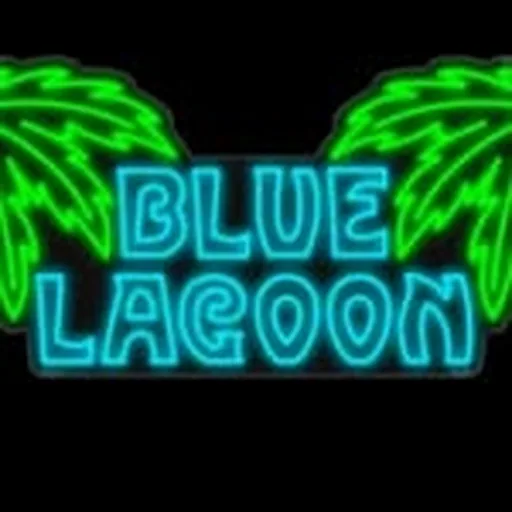 @bluelagoonsc profile image