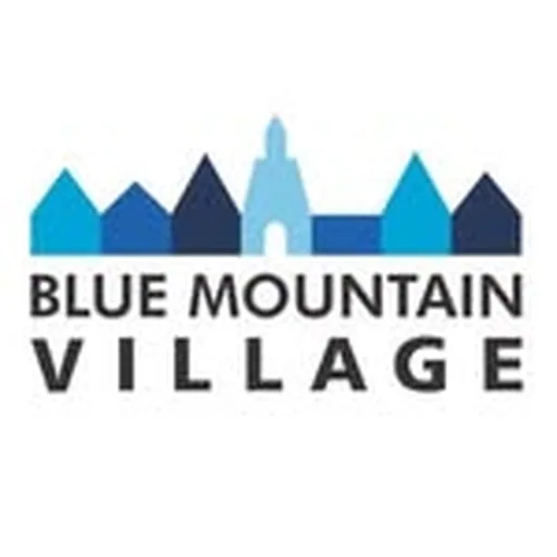 @bluemtnvillage profile image