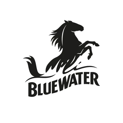 @bluewatershopping profile image