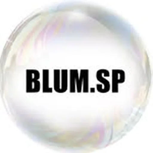 @blum.sp profile image