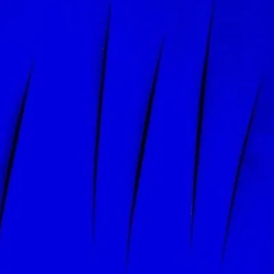 @bluscarpa profile image