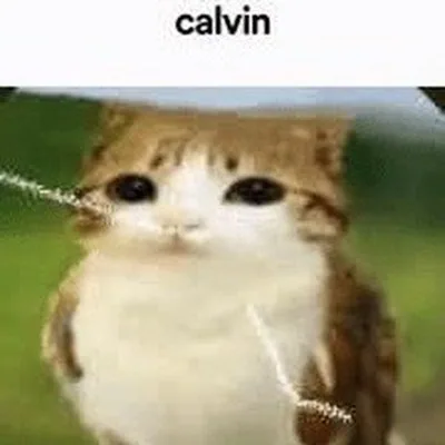 @blvckhound profile image