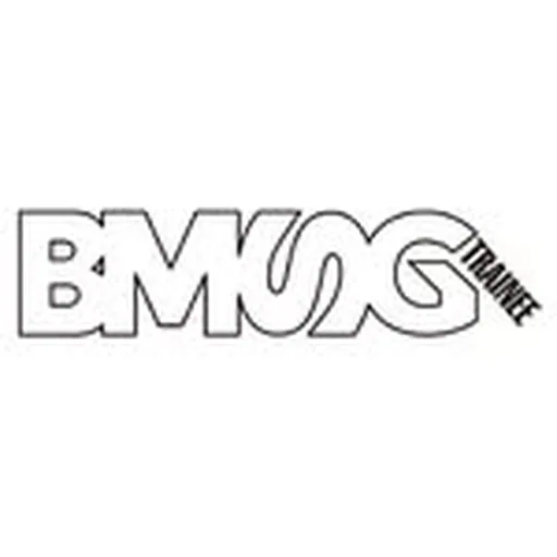 @bmsg_trainee profile image