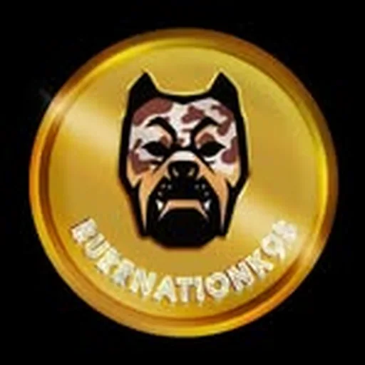 @bnk9s profile image