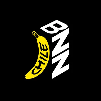 @bnn.chile profile image