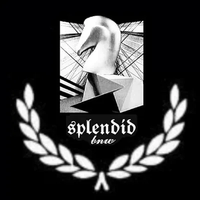@bnw_splendid profile image