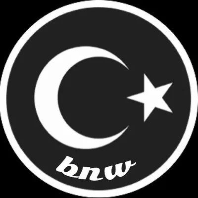 @bnw_turk profile image