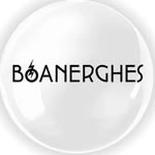 @boanerghes.it profile image