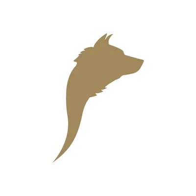 @bocadolobocollection profile image