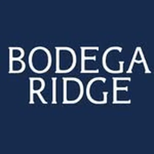 @bodegaridge profile image