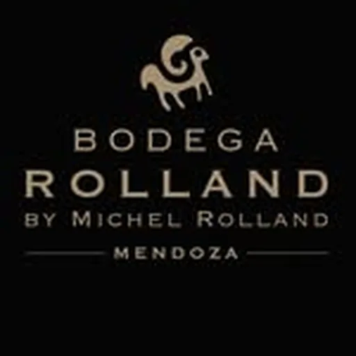 @bodegarolland profile image