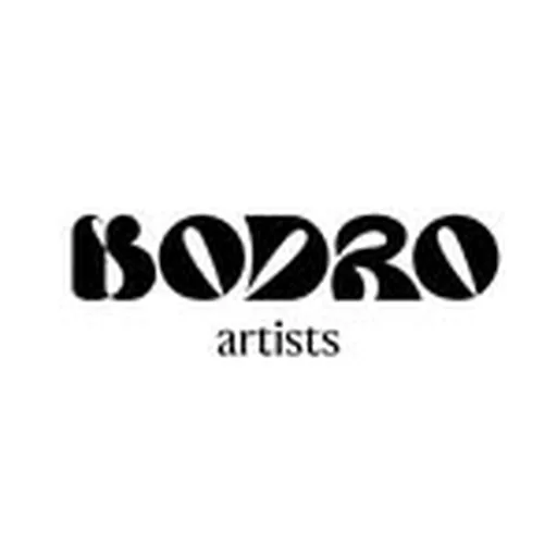 @bodro.artists profile image