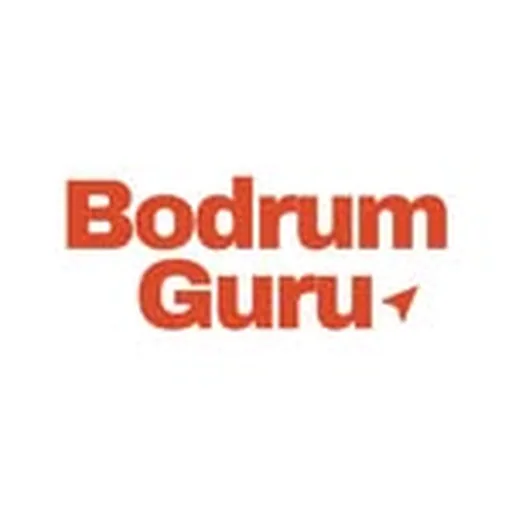 @bodrumguru profile image