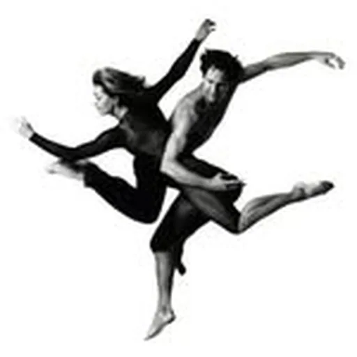@bodyvox profile image