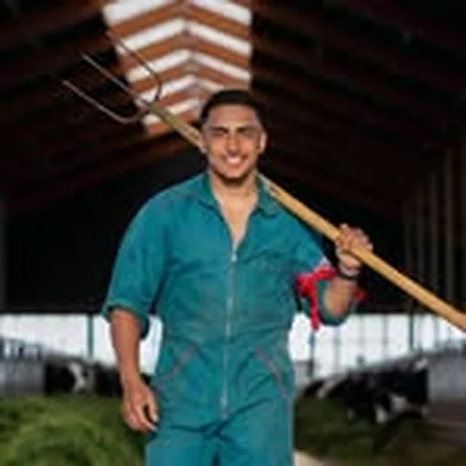@boerayoub profile image