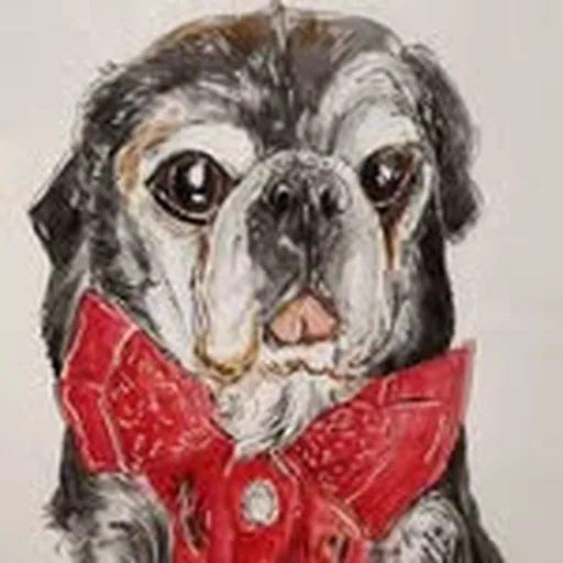 @bogartbogiethepug profile image