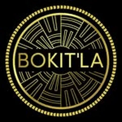@bokitla profile image