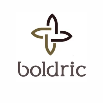@boldric profile image