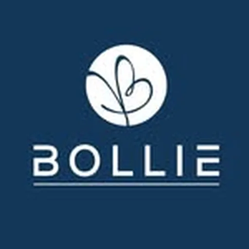 @bolliebrand profile image