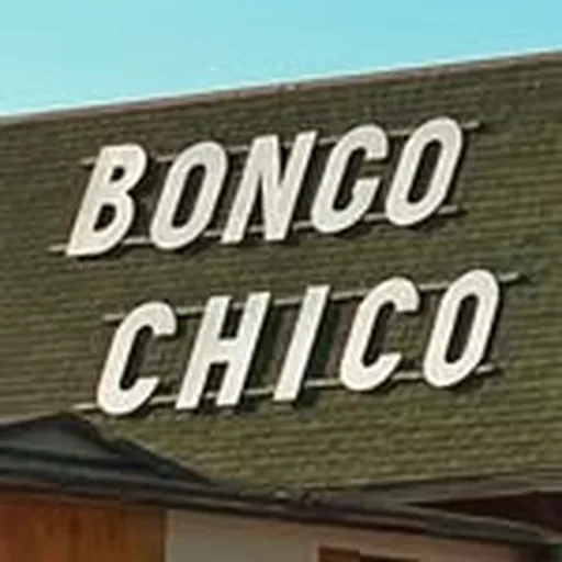 @bongochicoland profile image