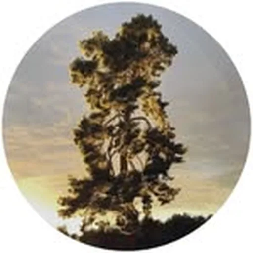 @boniver profile image