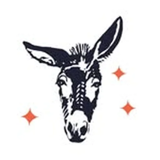 @boomtownyyj profile image