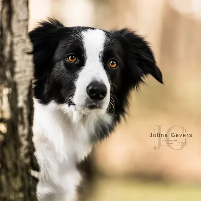 @border_lovely_leni profile image