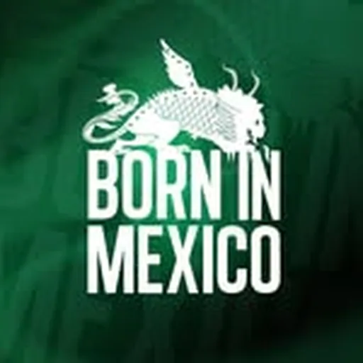 @borninmexico profile image