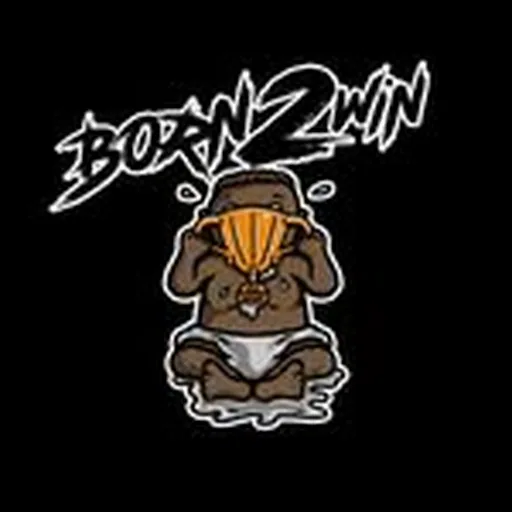 @bornntoowin profile image