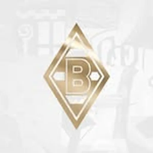 @borussia_frauen profile image