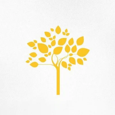 @bosquegraopara profile image