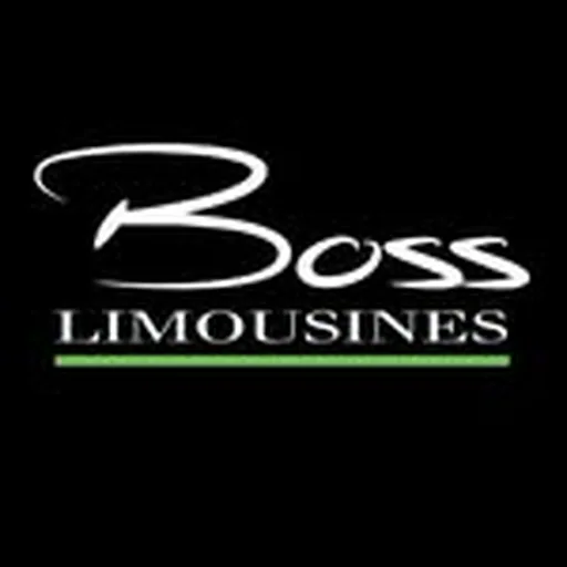 @bosslimousines profile image