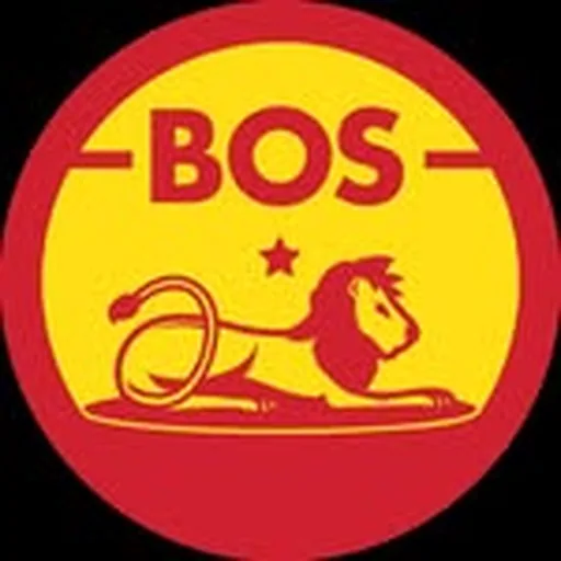 @bosworld profile image