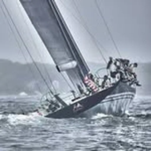 @botinpartners profile image