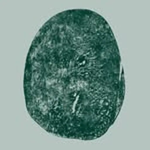 @botmas.bio profile image
