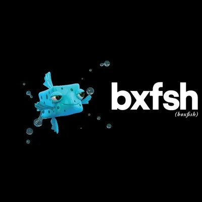 @boxfishspain profile image