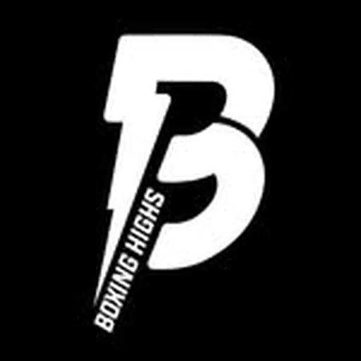 @boxinghighs profile image