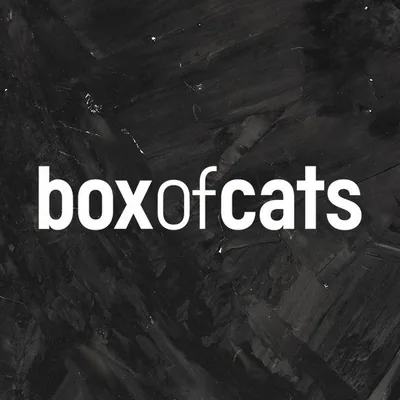 @boxofcatsmusic profile image