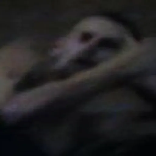 @boyharsher profile image