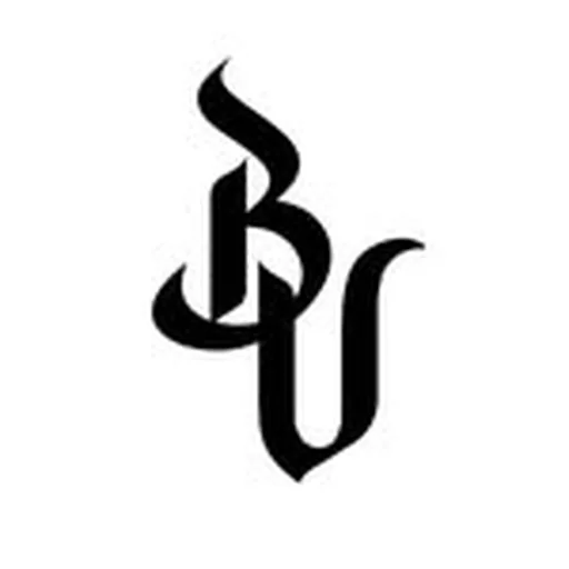 @boyvienna profile image