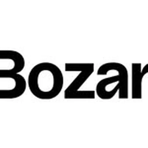 @bozarbrussels profile image