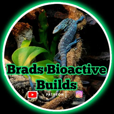@bradsbioactivebuilds profile image